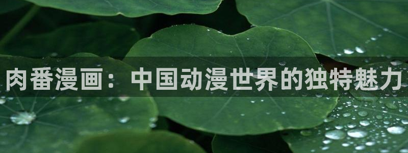 汗汗漫画sss.