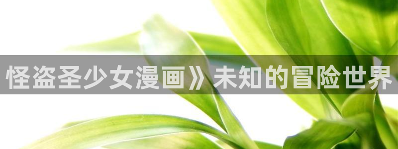韩国无遮挡免费漫画汗汗漫画：怪盗圣少女漫画》未知的冒险世界