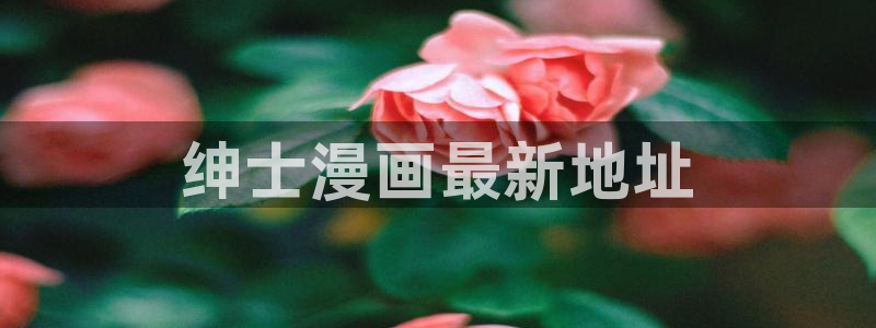 汗汗漫画韩漫