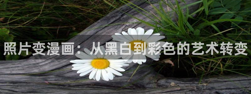 汗汗漫画免费韩漫：照片变漫画：从黑白到彩色的艺术转变