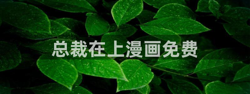 汗汗汗漫画sss：总裁在上漫画免费