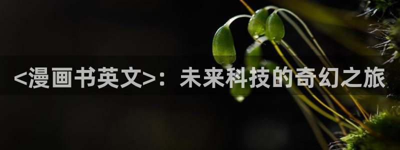 汗汗漫画无删减：<漫画书英文>：未来科技的奇幻之旅