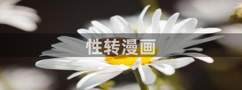 汗汗漫画网在线：性转漫画
