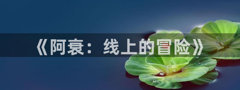 汗汗漫画网免费阅读下拉式：《阿衰：线上的冒险》